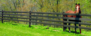 Aarons Okie Fence Co.  405-826-2682